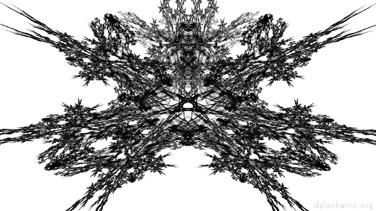 image: attractors bw :: bug