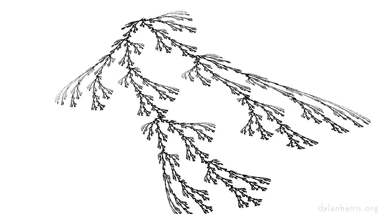 image: attractors bw :: plant2