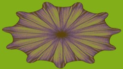 image: image from attractors circular