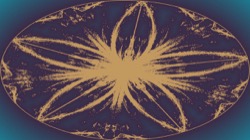 image: image from circular