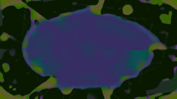 image: image from circular 1