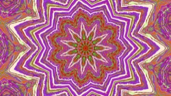 image: image from circular 1