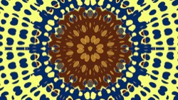 image: image from circular 1