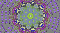 image: image from circular 1