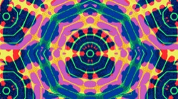 image: image from circular 1