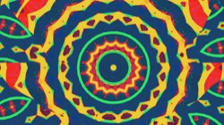 image: image from circular 1