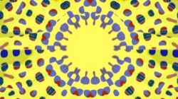 image: image from circular 1