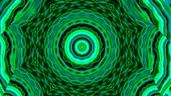 image: image from circular 1