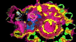 image: image from abstract