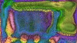 image: image from abstract