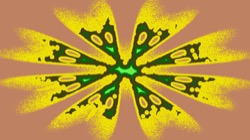 image: image from attr