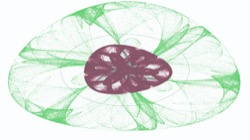 image: image from attr-new colour