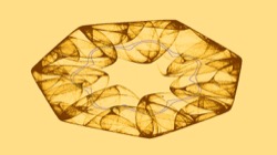 image: image from attr-new colour