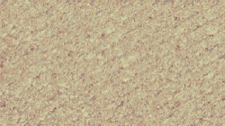 image: image from ca noise