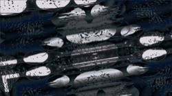 image: image from symmetry breaking 1