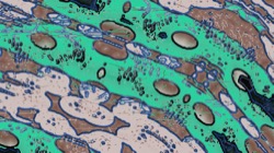 image: image from symmetry breaking 1