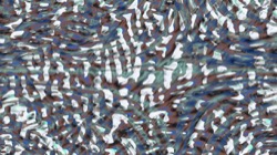 image: image from symmetry breaking 1