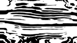 black n white :: edgewarper