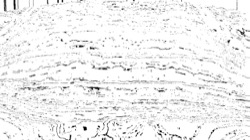 black n white :: srcproc10