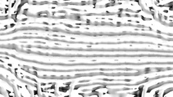 black n white :: srcproc11