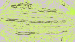 image: image from flat print effects