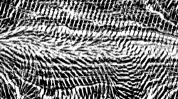 image: image from head abstraction