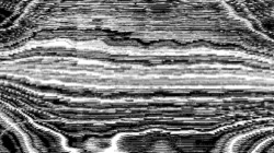 image: image from screening