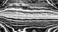 image: image from screening