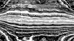 image: image from screening