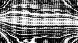 image: image from screening