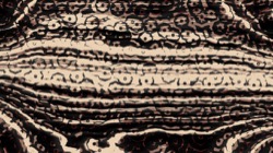 image: image from screening variations