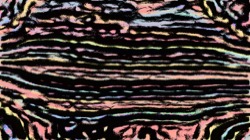 image: image from sketchy