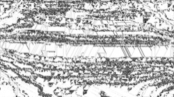 image: image from ca noise proc