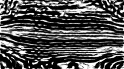 image: image from edge