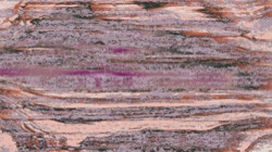 image: image from source abstract