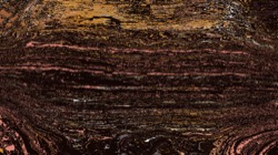 image: image from src efx 1