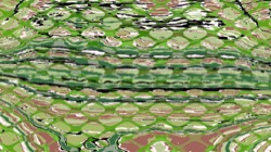 image: image from src grid