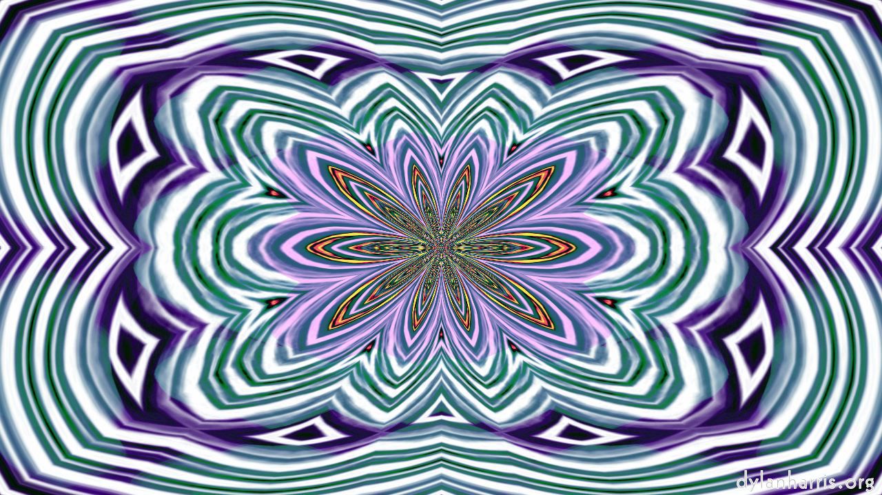 image: self animating 1 :: morecomplex4