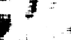 image: image from self animating alpha2