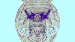 image: image from anim test 1