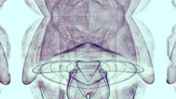 image: image from anim test 1