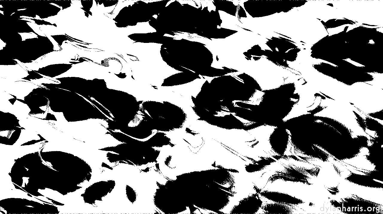 image: fun :: bw beans threshold tg1