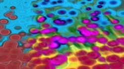 image: image from fun