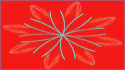 image: image from fun