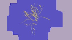 image: image from fun