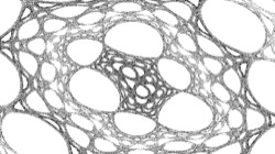 image: image from test