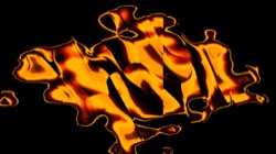 image: image from test