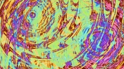 image: image from trouble