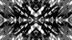 image: image from in progress ones