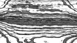 image: image from msg drawing set